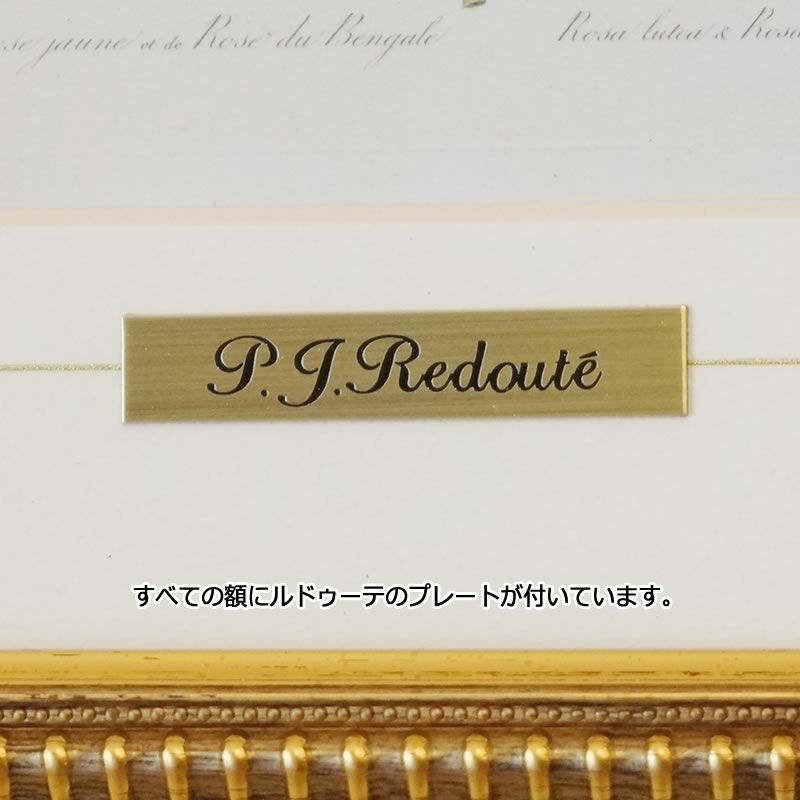 ルドゥーテ ローズ 絵額 複製画 『 美花選 バラ・アネモネ・テッセン
