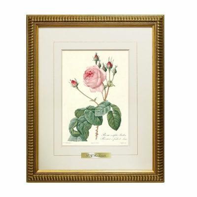 イタリア製 薔薇額絵：ゴールド枠 アクリル板（ローズ・レッド）花