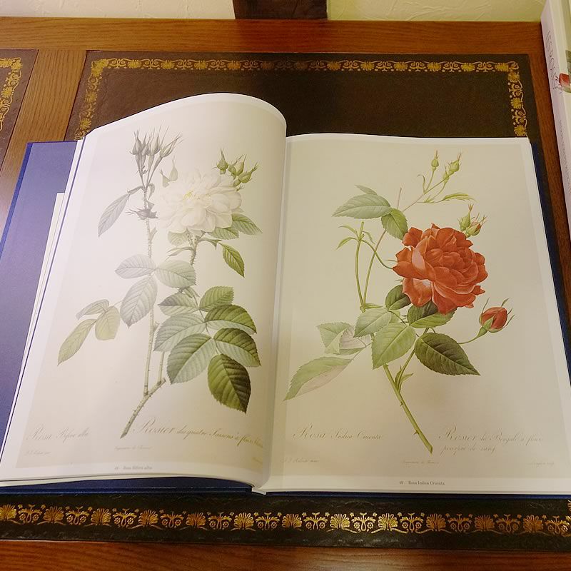 ルドゥーテ 本「Les Roses」バラ図譜 豪華本 Book | 輸入家具・雑貨