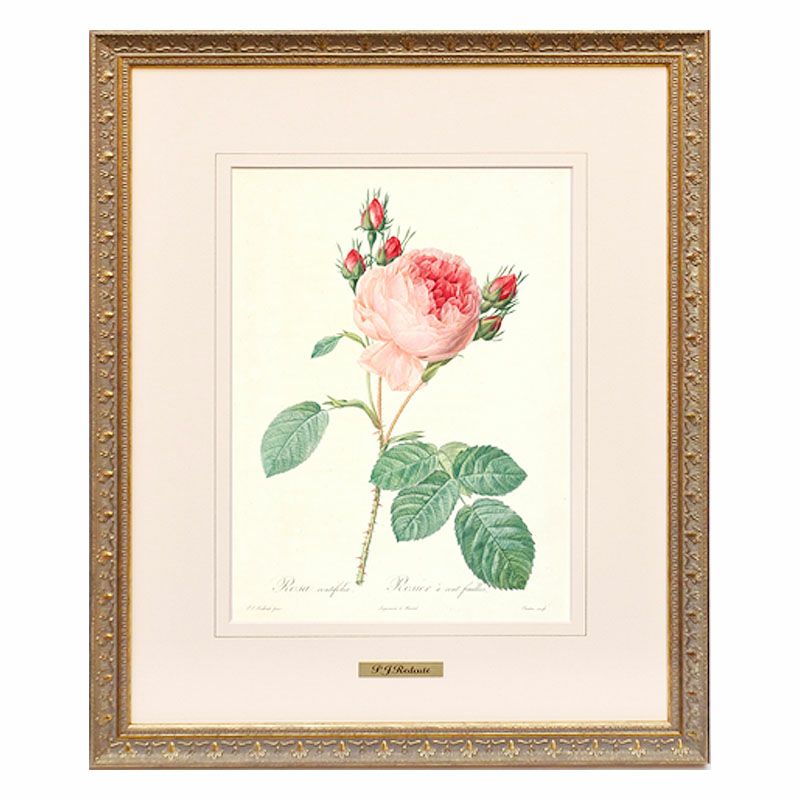 2枚組】イタリア製 ルドゥーテ 薔薇 花 額絵 スクエア 絵画